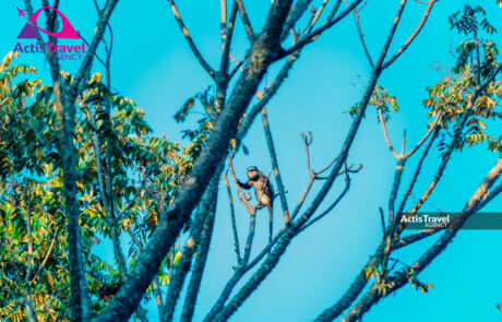 RESERVE Naturelle de Bururi-10