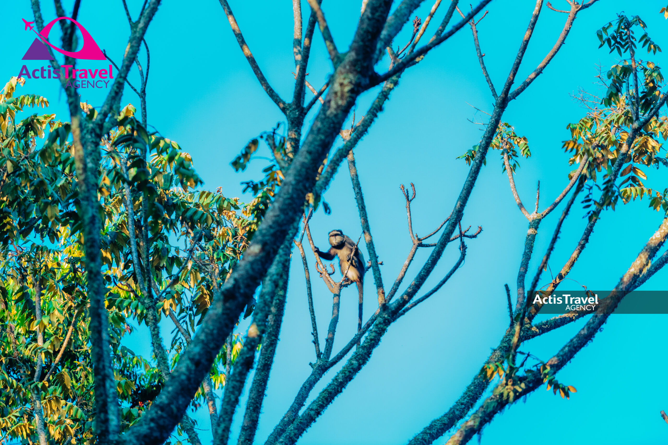 RESERVE Naturelle de Bururi-10