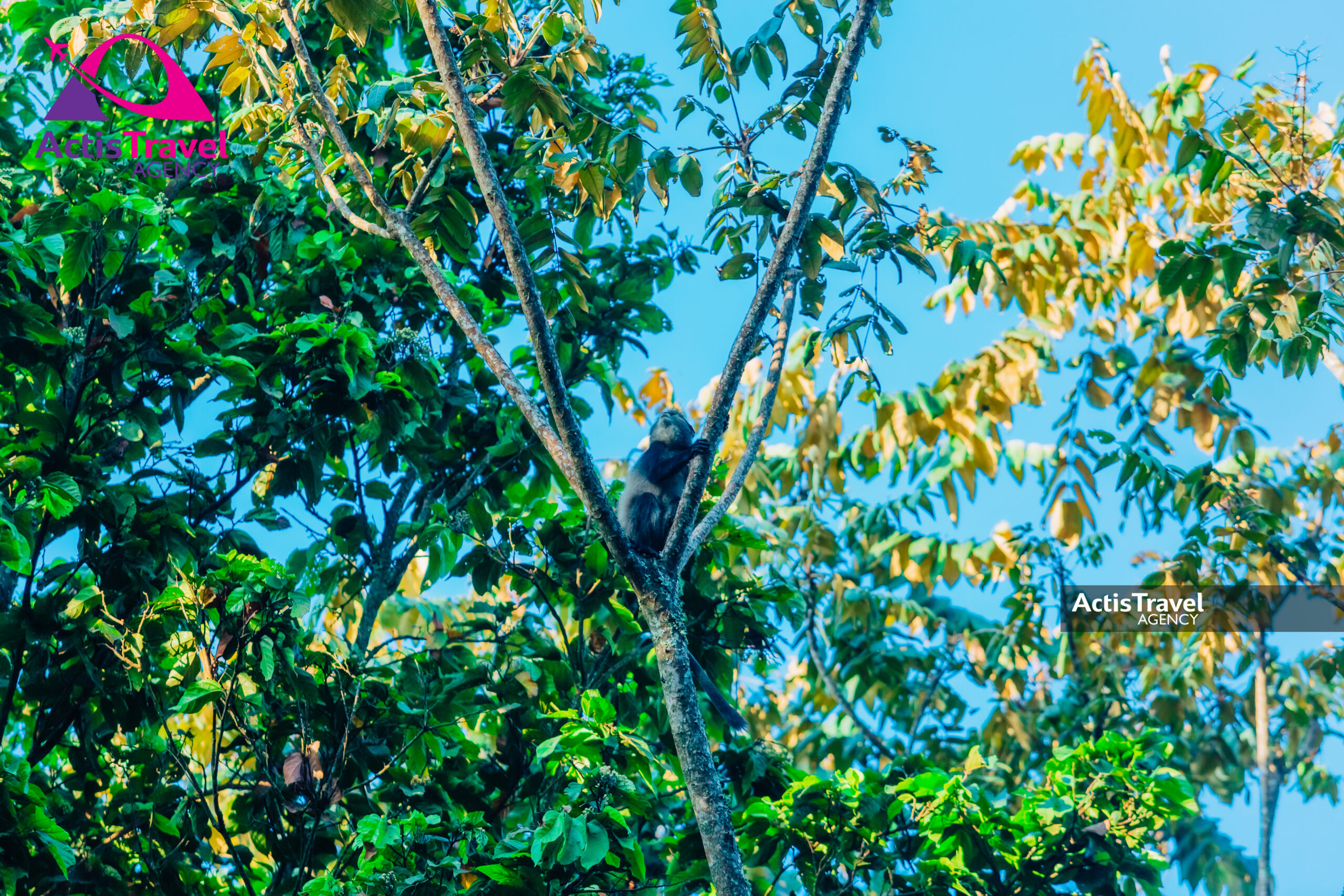 RESERVE Naturelle de Bururi-13