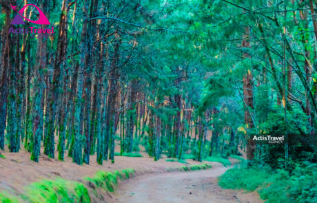 RESERVE Naturelle de Bururi-25