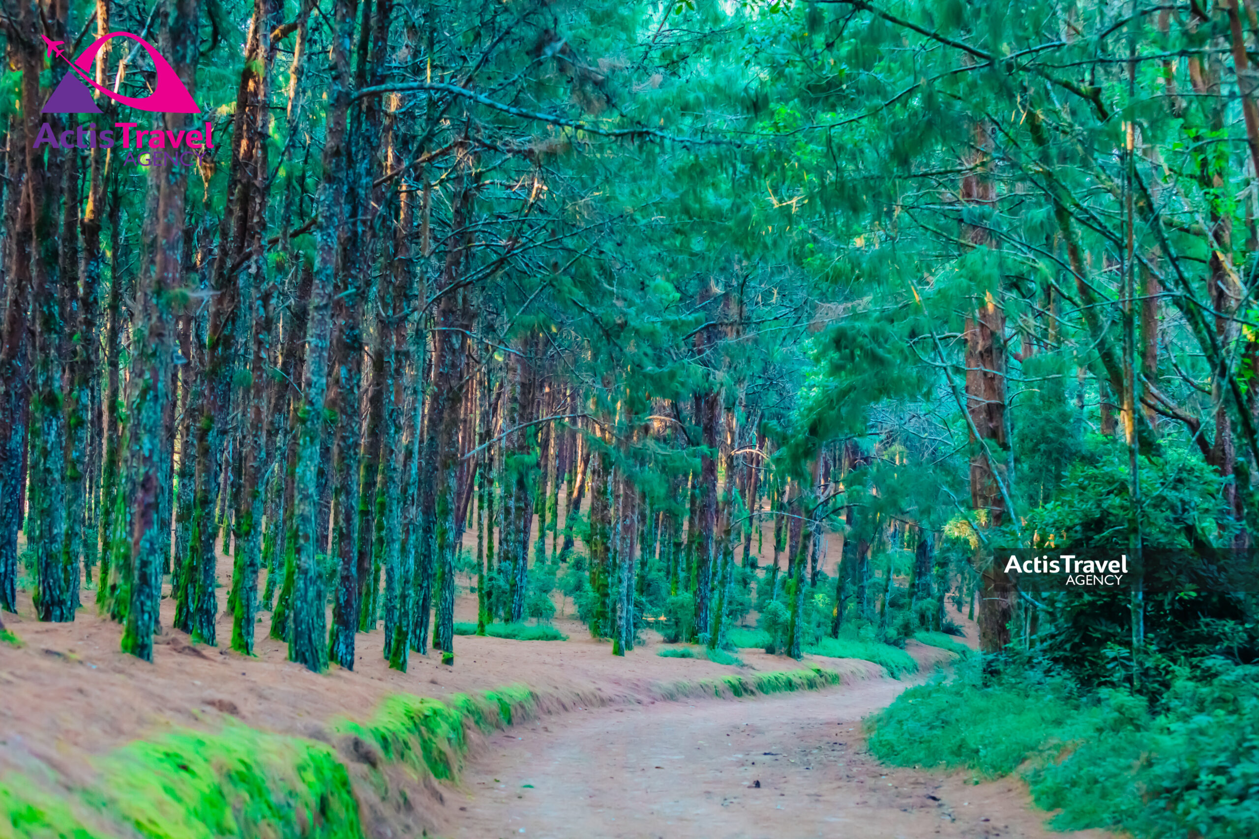 RESERVE Naturelle de Bururi-25