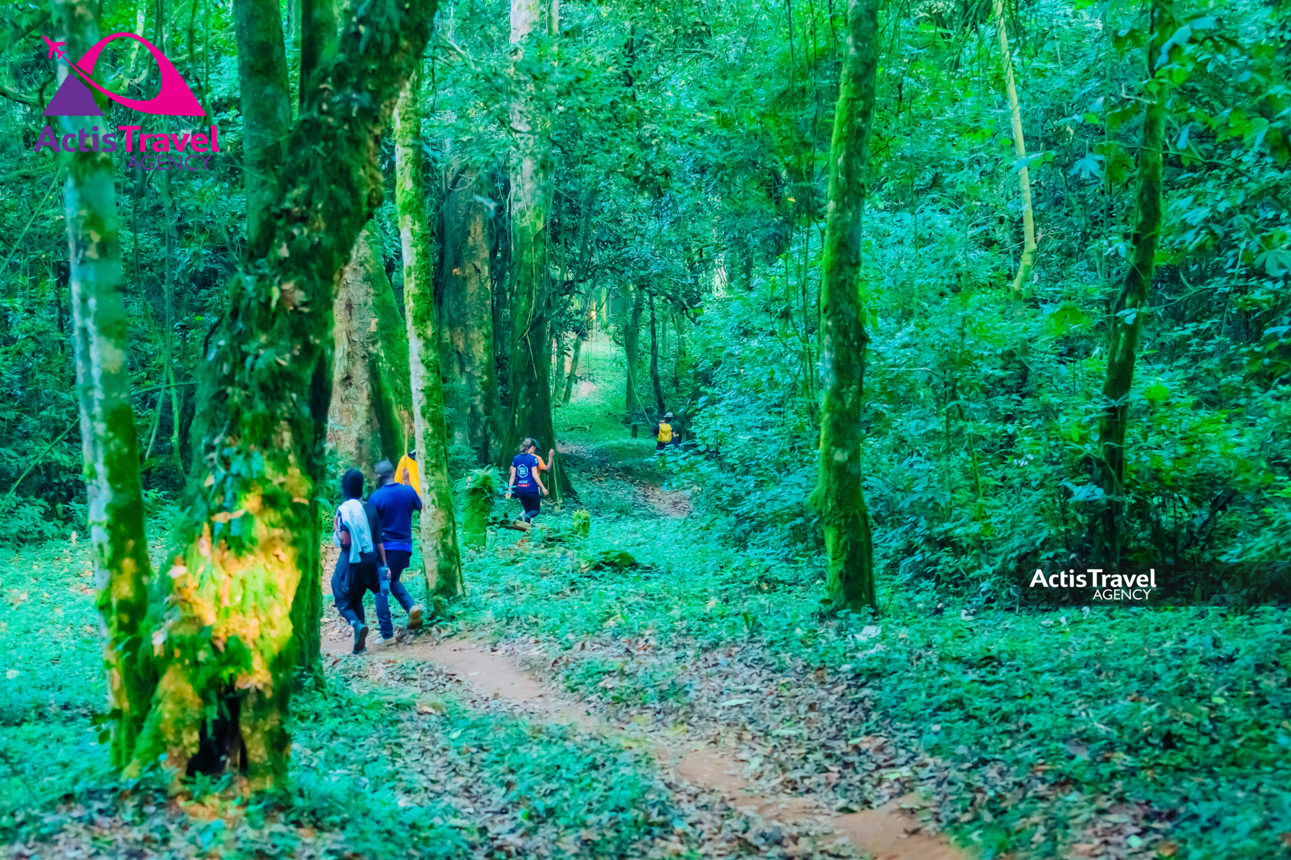 RESERVE Naturelle de Bururi-26