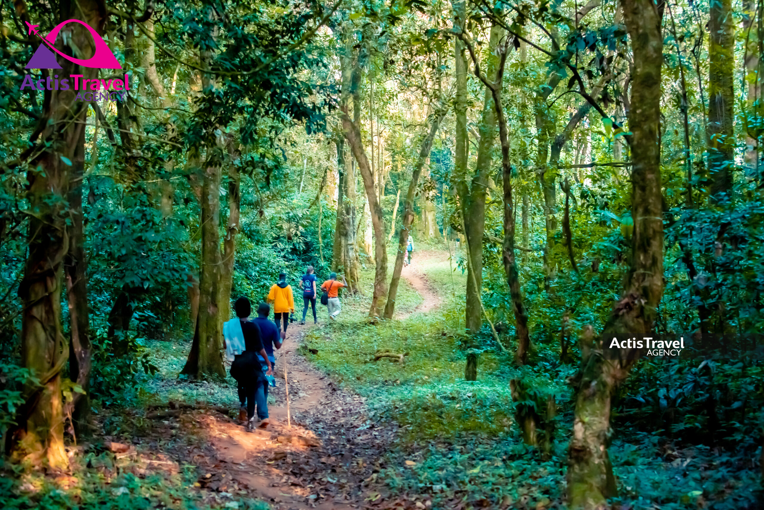 RESERVE Naturelle de Bururi-29