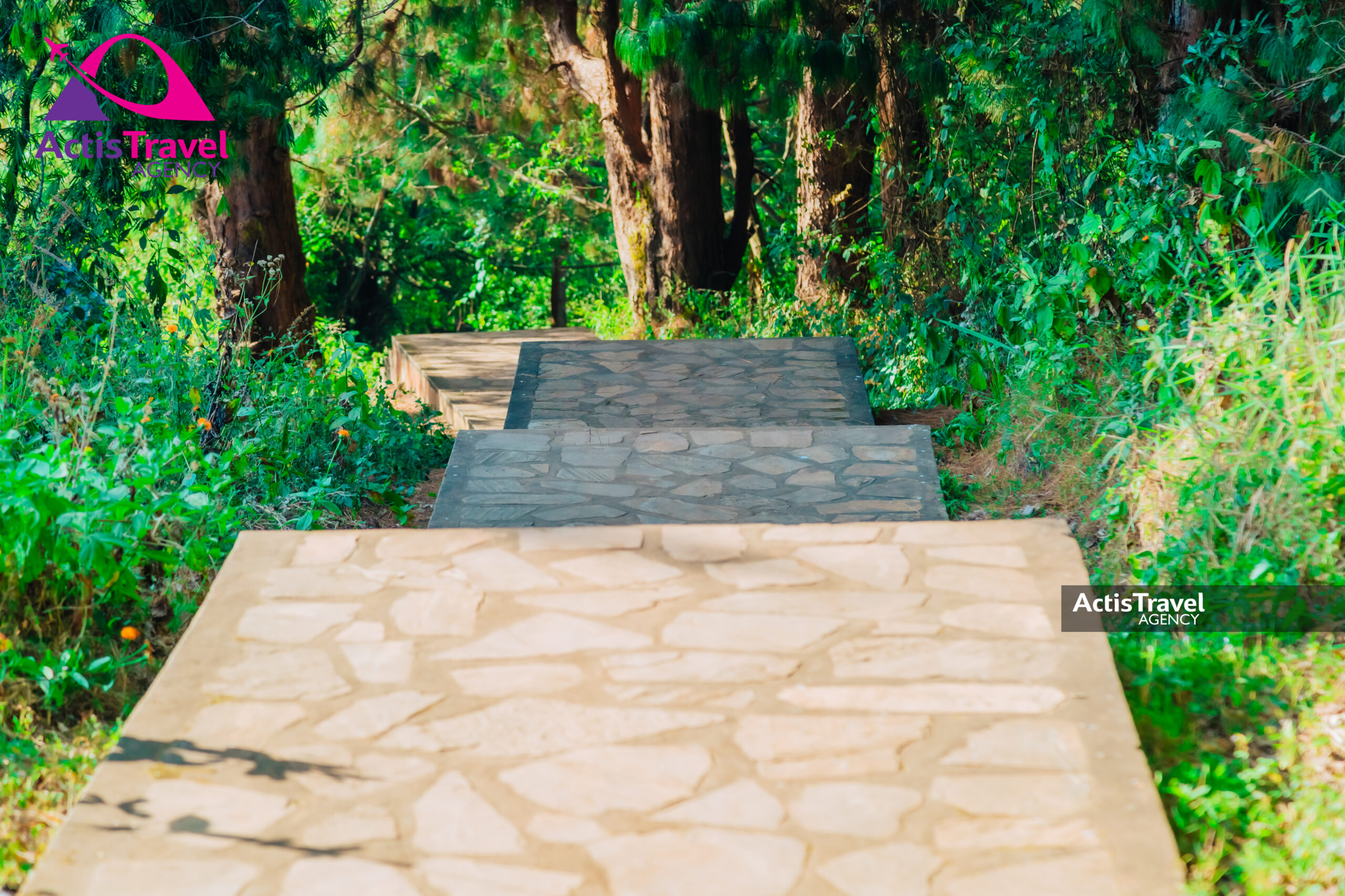 Source du Nile et Pyramide-5